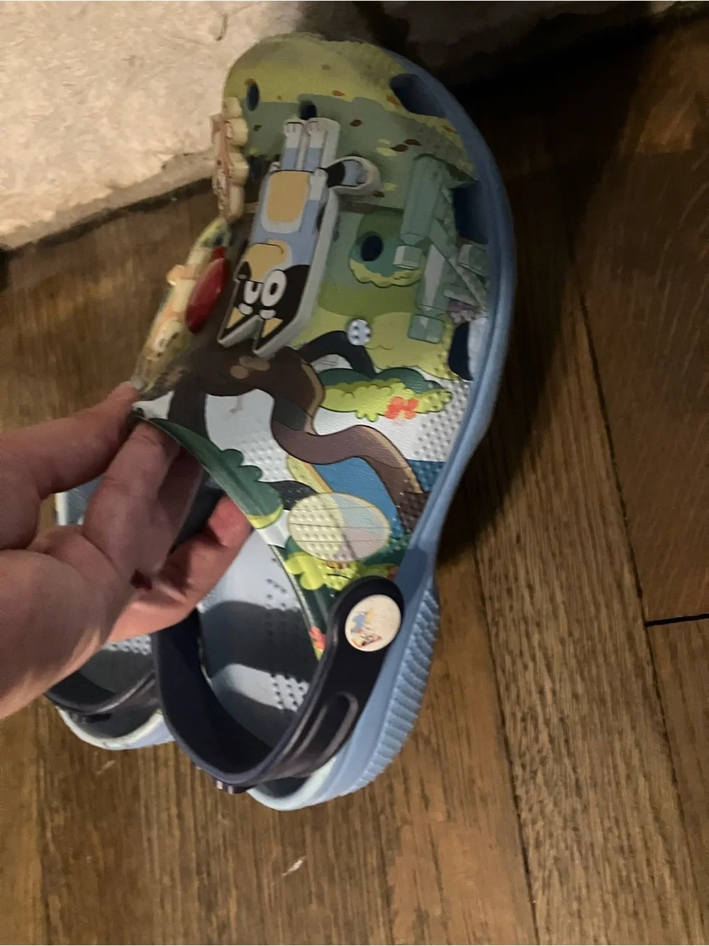 Bluey-Themed Kids Slip-On Crocs